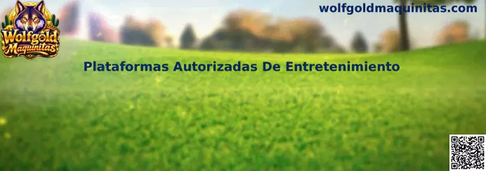 Plataformas Autorizadas De Entretenimiento