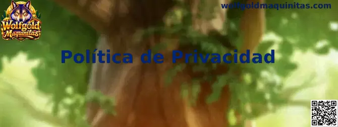 Política de Privacidad Wolfgold Maquinitas