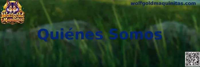 Presentación de la sección Quiénes Somos de Wolfgold Maquinitas